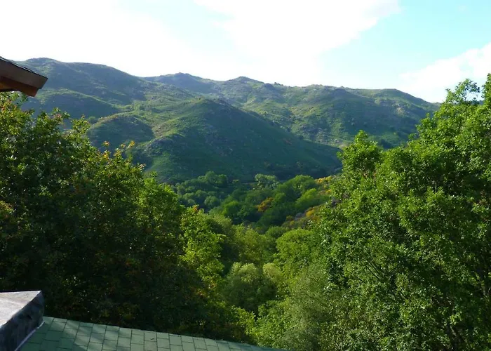 Eco-bungalow Hotel Carralcova